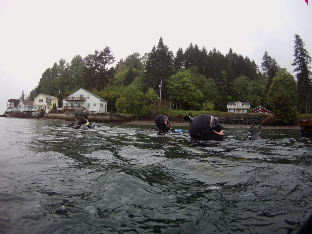 Yellow House Dive Weekend in Hoodsport Washington Salem Scuba